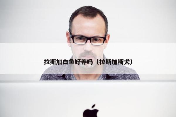 拉斯加白鱼好养吗（拉斯加斯犬）