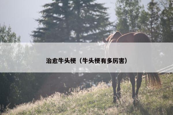 治愈牛头梗（牛头梗有多厉害）