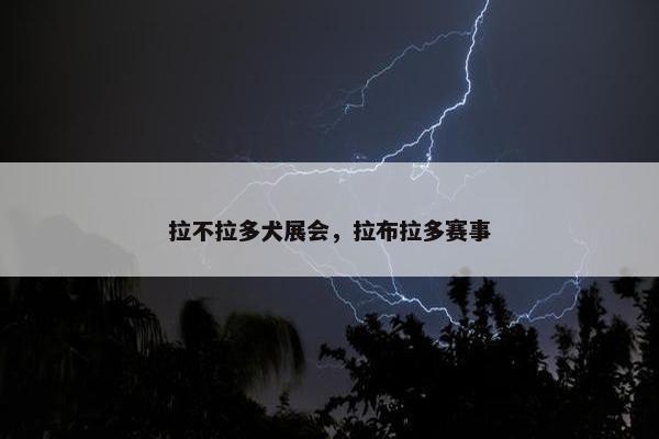 拉不拉多犬展会，拉布拉多赛事