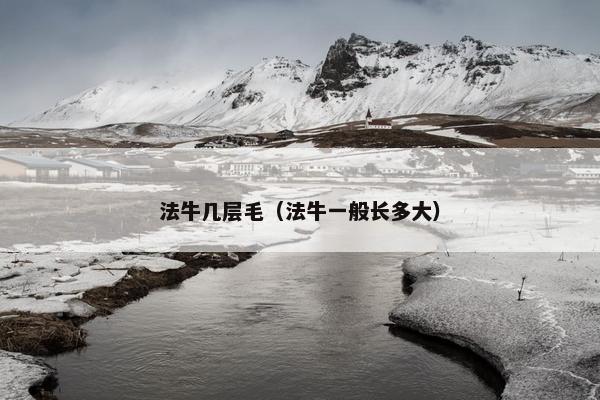 法牛几层毛（法牛一般长多大）