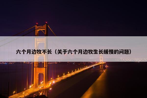 六个月边牧不长（关于六个月边牧生长缓慢的问题）