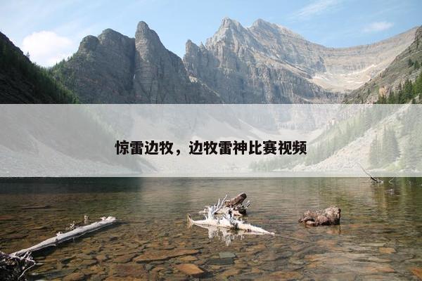 惊雷边牧，边牧雷神比赛视频