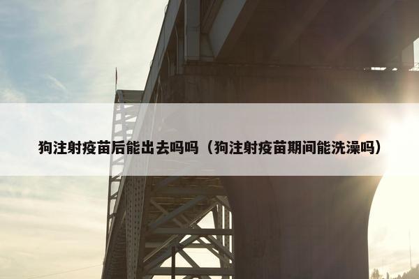 狗注射疫苗后能出去吗吗（狗注射疫苗期间能洗澡吗）