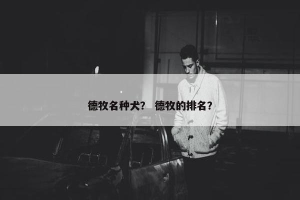 德牧名种犬？ 德牧的排名？