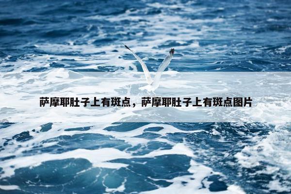 萨摩耶肚子上有斑点，萨摩耶肚子上有斑点图片