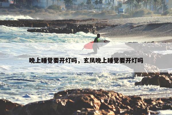 晚上睡觉要开灯吗，玄凤晚上睡觉要开灯吗