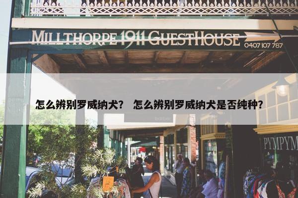 怎么辨别罗威纳犬？ 怎么辨别罗威纳犬是否纯种？