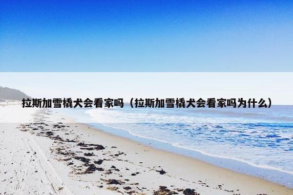 拉斯加雪橇犬会看家吗（拉斯加雪橇犬会看家吗为什么）