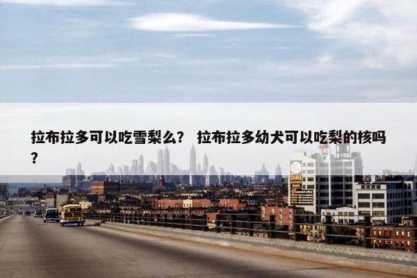 拉布拉多可以吃雪梨么？ 拉布拉多幼犬可以吃梨的核吗？