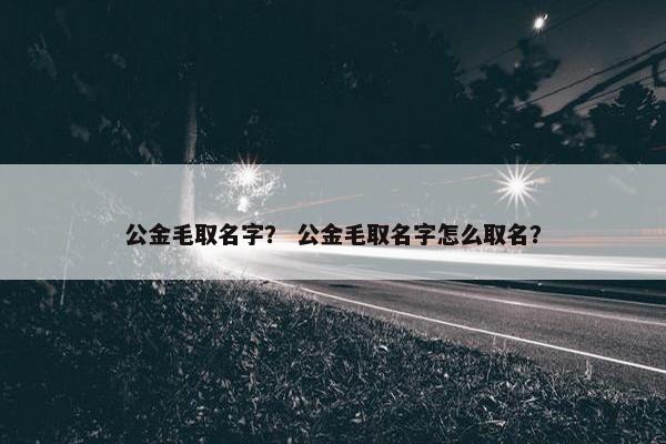 公金毛取名字？ 公金毛取名字怎么取名？