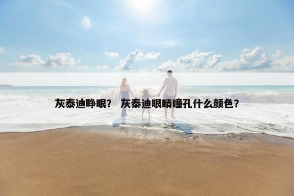 灰泰迪睁眼？ 灰泰迪眼睛瞳孔什么颜色？