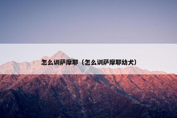 怎么训萨摩耶（怎么训萨摩耶幼犬）