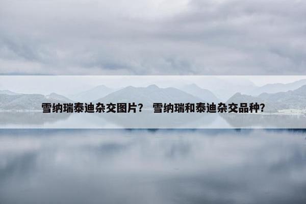 雪纳瑞泰迪杂交图片？ 雪纳瑞和泰迪杂交品种？