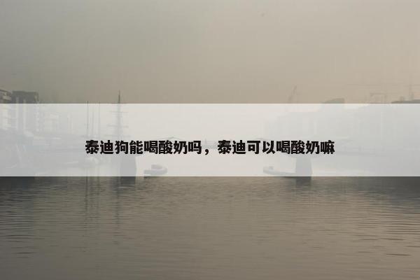 泰迪狗能喝酸奶吗，泰迪可以喝酸奶嘛