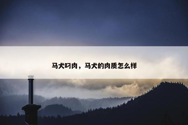 马犬叼肉，马犬的肉质怎么样