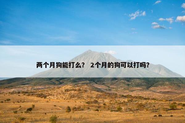两个月狗能打么？ 2个月的狗可以打吗？