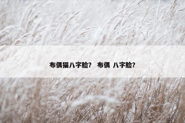布偶猫八字脸？ 布偶 八字脸？