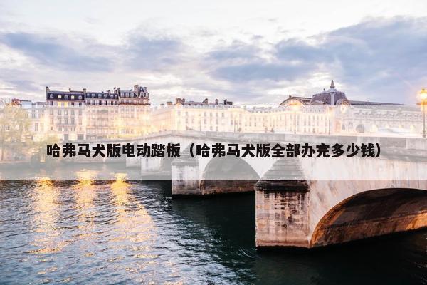 哈弗马犬版电动踏板（哈弗马犬版全部办完多少钱）