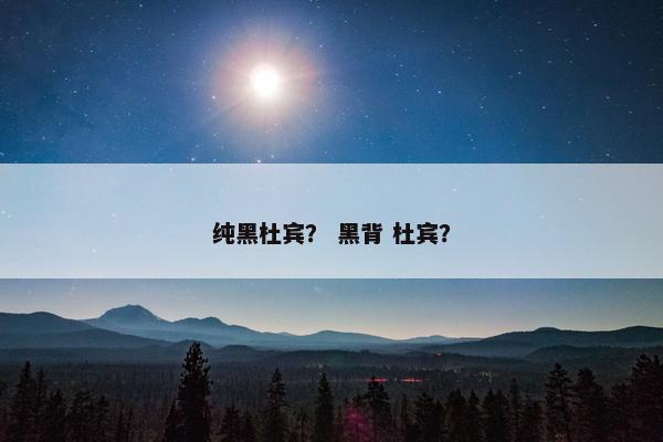 纯黑杜宾？ 黑背 杜宾？