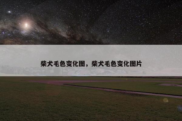 柴犬毛色变化图，柴犬毛色变化图片