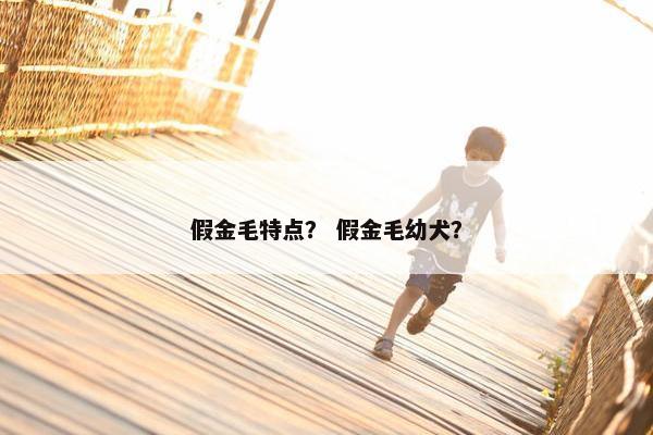 假金毛特点？ 假金毛幼犬？