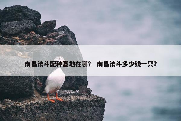 南昌法斗配种基地在哪？ 南昌法斗多少钱一只？