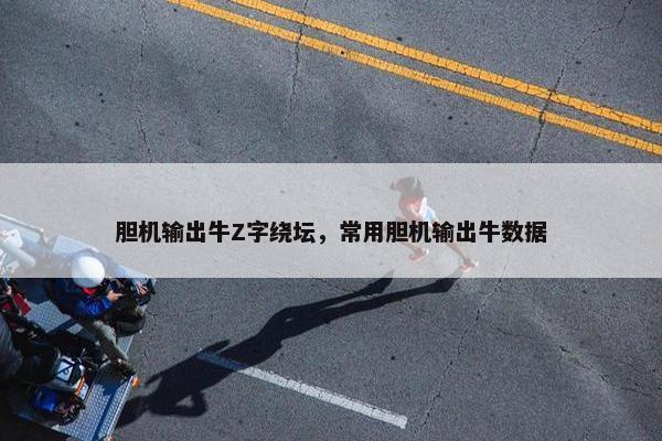 胆机输出牛Z字绕坛，常用胆机输出牛数据