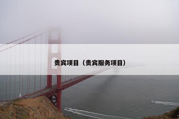 贵宾项目（贵宾服务项目）