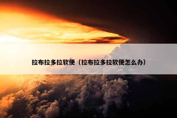 拉布拉多拉软便（拉布拉多拉软便怎么办）