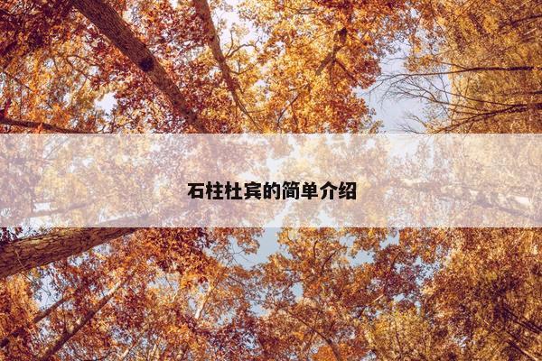 石柱杜宾的简单介绍