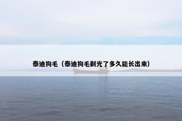 泰迪狗毛（泰迪狗毛剃光了多久能长出来）