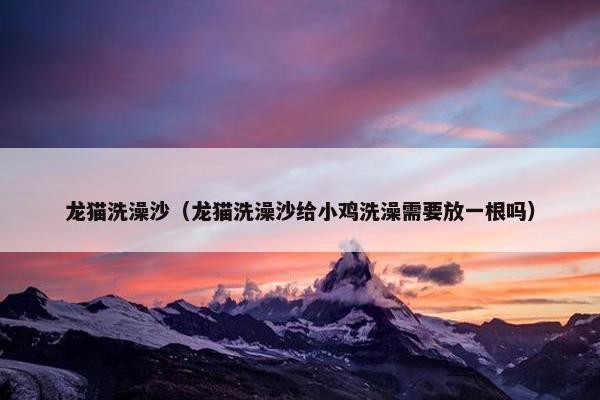 龙猫洗澡沙（龙猫洗澡沙给小鸡洗澡需要放一根吗）