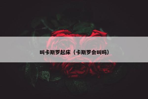 叫卡斯罗起床（卡斯罗会叫吗）