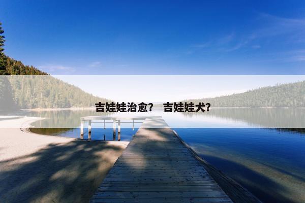 吉娃娃治愈？ 吉娃娃犬？