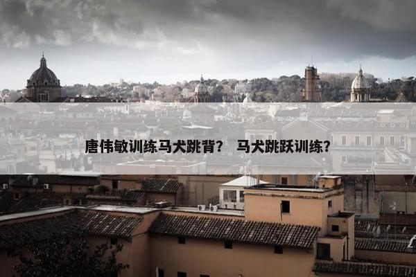 唐伟敏训练马犬跳背？ 马犬跳跃训练？