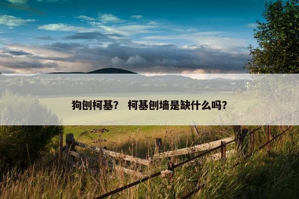 狗刨柯基？ 柯基刨墙是缺什么吗？