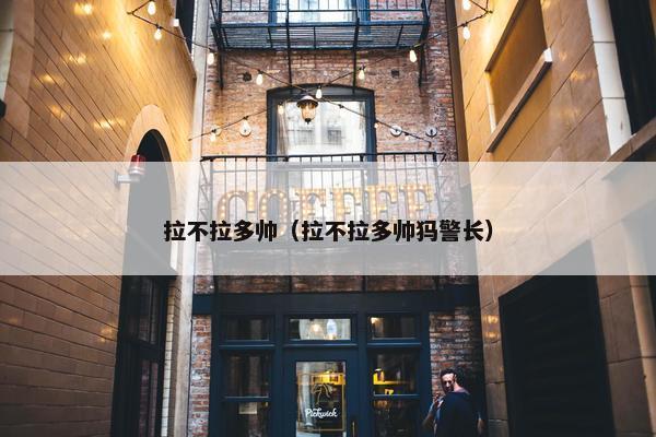 拉不拉多帅（拉不拉多帅犸警长）