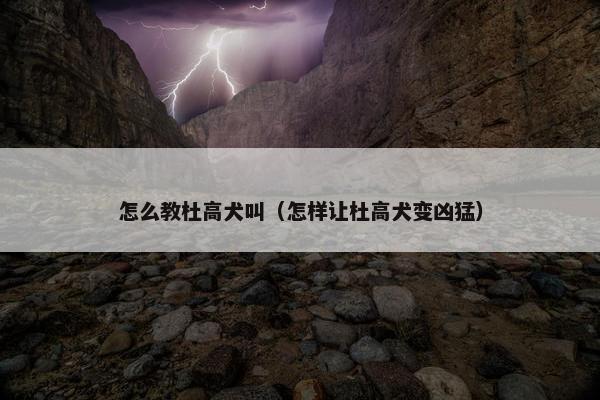 怎么教杜高犬叫（怎样让杜高犬变凶猛）