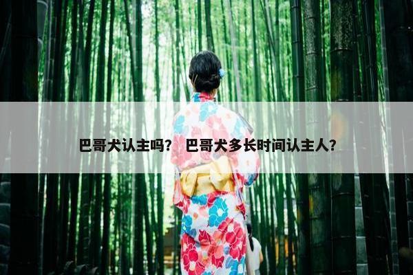 巴哥犬认主吗？ 巴哥犬多长时间认主人？
