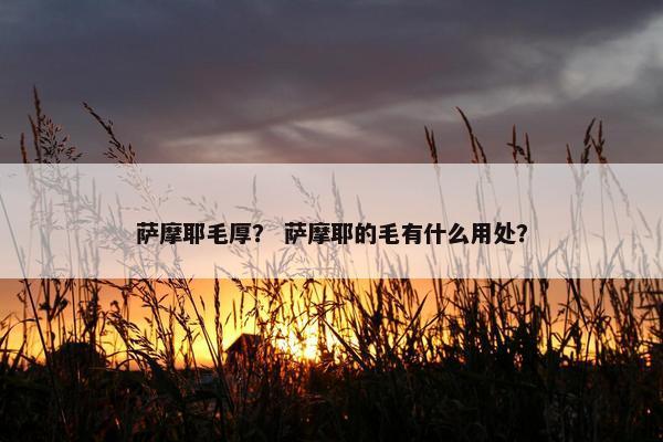 萨摩耶毛厚？ 萨摩耶的毛有什么用处？
