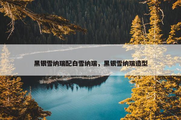 黑银雪纳瑞配白雪纳瑞，黑银雪纳瑞造型