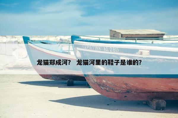 龙猫郑成河？ 龙猫河里的鞋子是谁的？