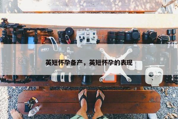英短怀孕备产，英短怀孕的表现