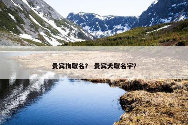 贵宾狗取名？ 贵宾犬取名字？
