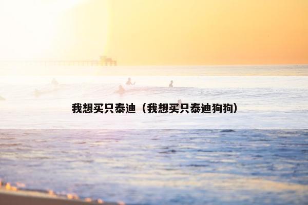我想买只泰迪（我想买只泰迪狗狗）