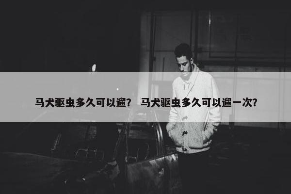 马犬驱虫多久可以遛？ 马犬驱虫多久可以遛一次？