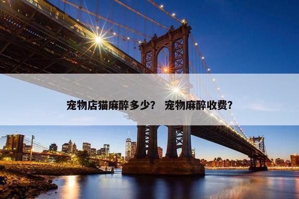 宠物店猫麻醉多少？ 宠物麻醉收费？