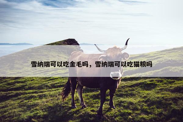 雪纳瑞可以吃金毛吗，雪纳瑞可以吃猫粮吗