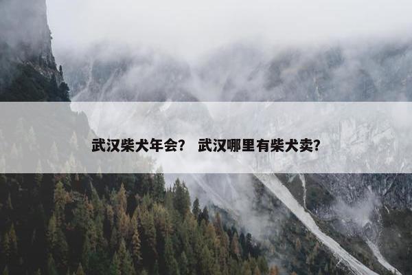 武汉柴犬年会？ 武汉哪里有柴犬卖？