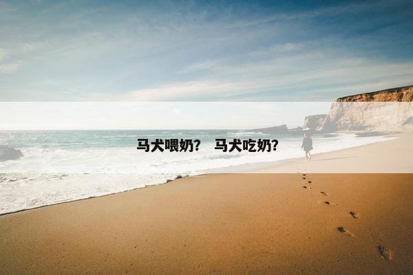 马犬喂奶？ 马犬吃奶？